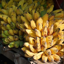 fruit picking jobs australia - bananas