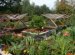 Vegetable garden Design Australia