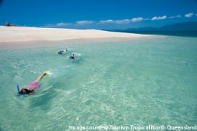 snorkeling at the Franklin Island