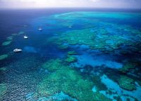 The Great Barrier Reef